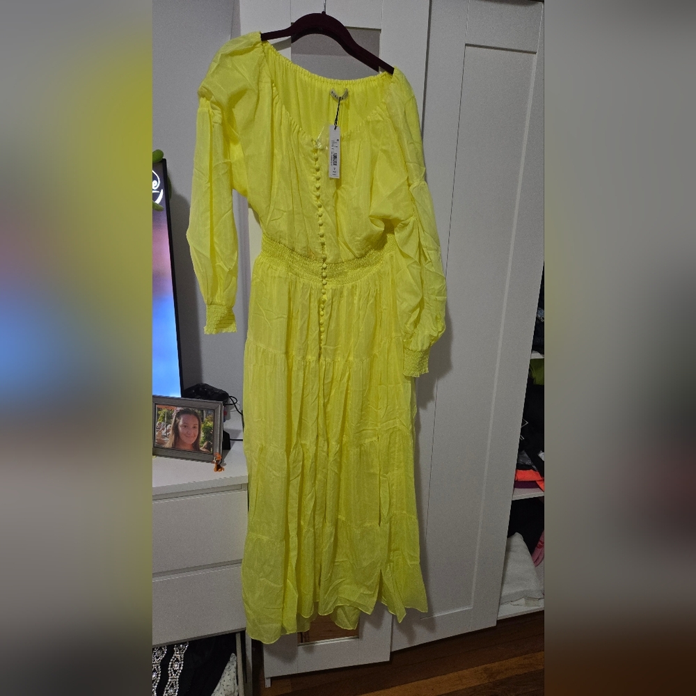 Alice and Olivia dress